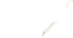 Golden White Statuario Керамогранит 60х60 Полированный_7