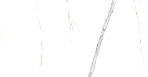 Viva Керамогранит белый SG169700N 40,2х40,2_9