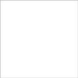 Гармония Керамогранит белый SG917400N 30х30 (Орел)