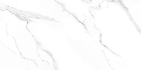 Блонди Плитка настенная белый 34050 25х50